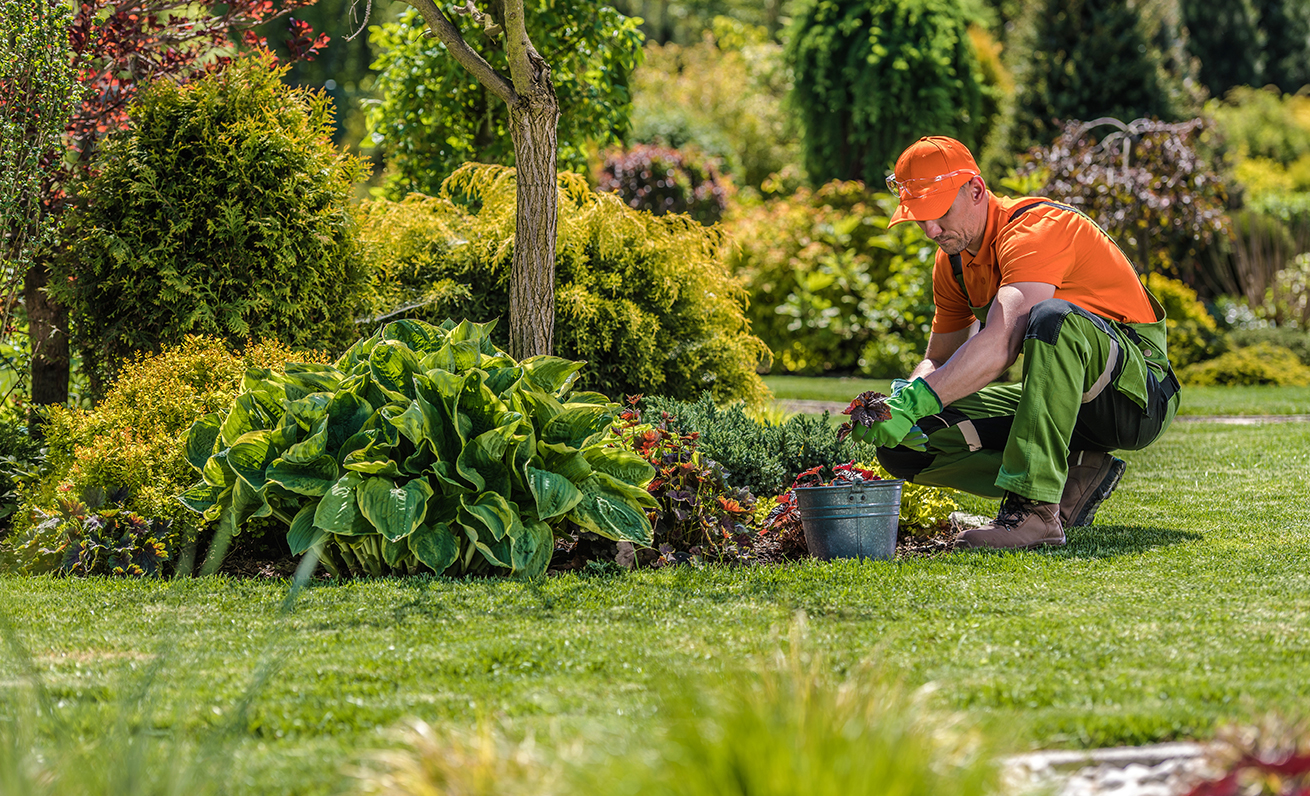 gardening image