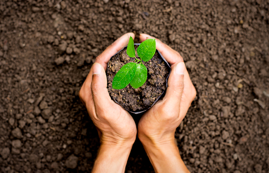 gardening image